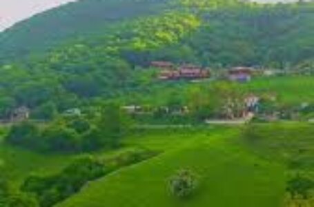MÜƏLLİM – İNSANLIĞIN İŞIĞI, MİLLƏTİN QƏLBİ